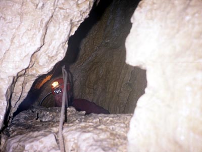 img019