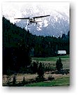 Plane leaving